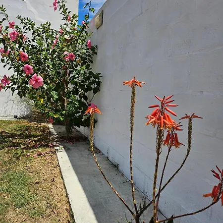 Nonina Holiday home